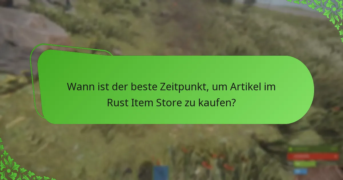 Welche Werbeaktionen finden im Rust Item Store statt?