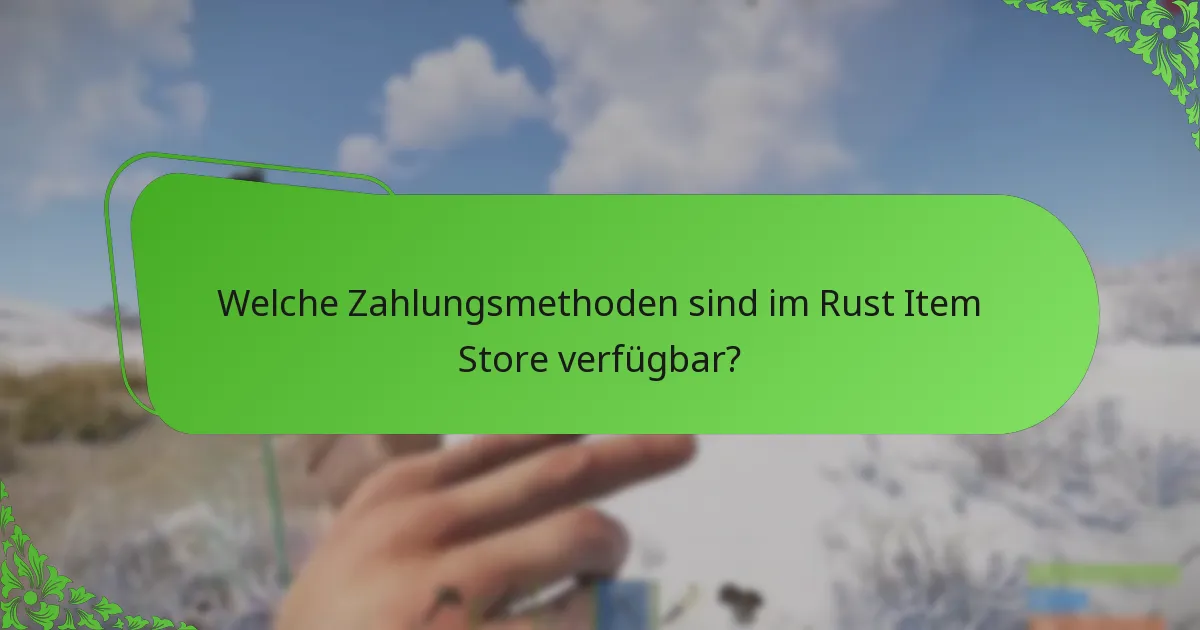 Welche Zahlungsmethoden sind im Rust Item Store verfügbar?