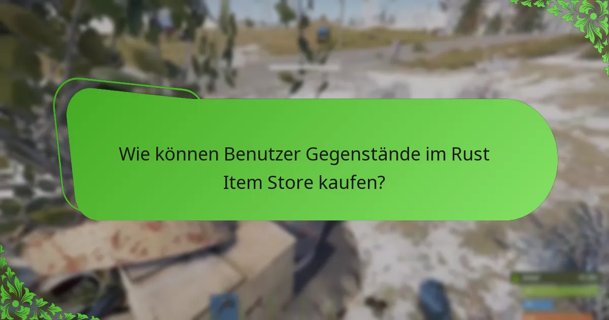 Wie können Benutzer Gegenstände im Rust Item Store kaufen?